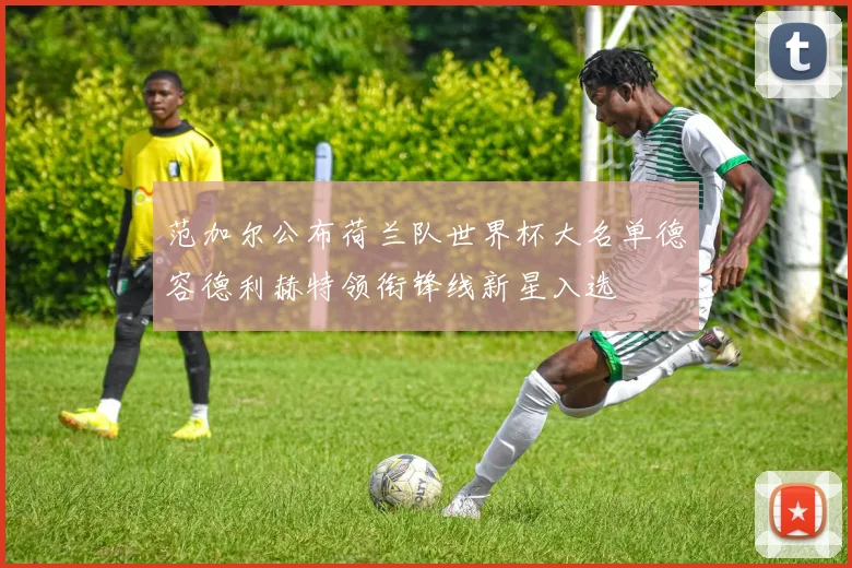 范加尔公布荷兰队世界杯大名单德容德利赫特领衔锋线新星入选