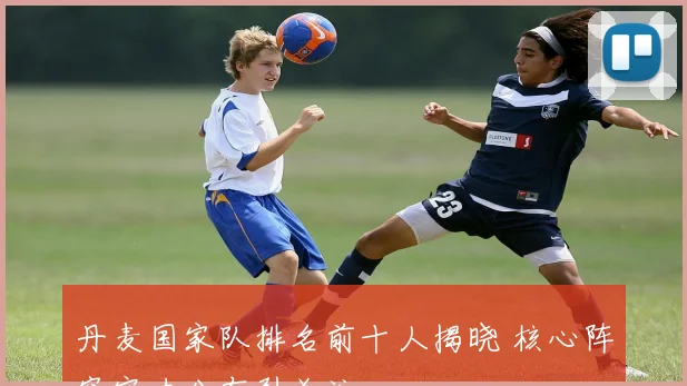 丹麦国家队排名前十人揭晓 核心阵容实力分布引关注