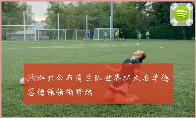 范加尔公布荷兰队世界杯大名单德容德佩领衔锋线