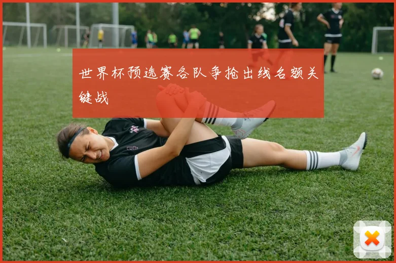 世界杯预选赛各队争抢出线名额关键战