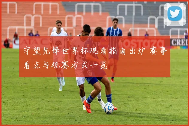 守望先锋世界杯观看指南出炉 赛事看点与观赛方式一览